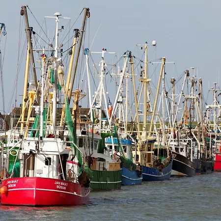 Lägenhet Apartmenthaus Hollaenderei Büsum