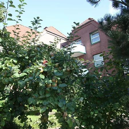 Lägenhet Apartmenthaus Hollaenderei *